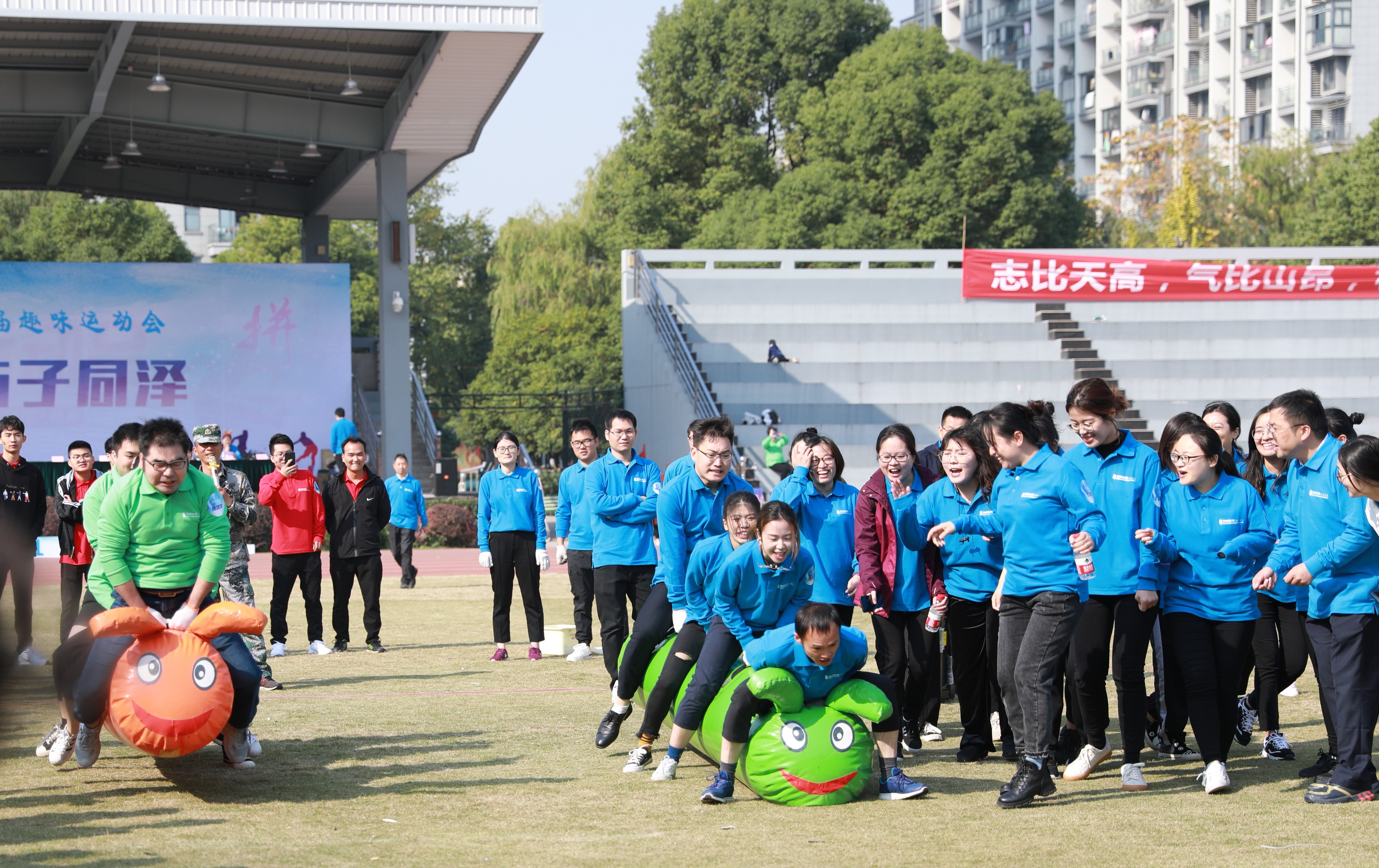 1574075264607064.jpg 绿毛.jpg